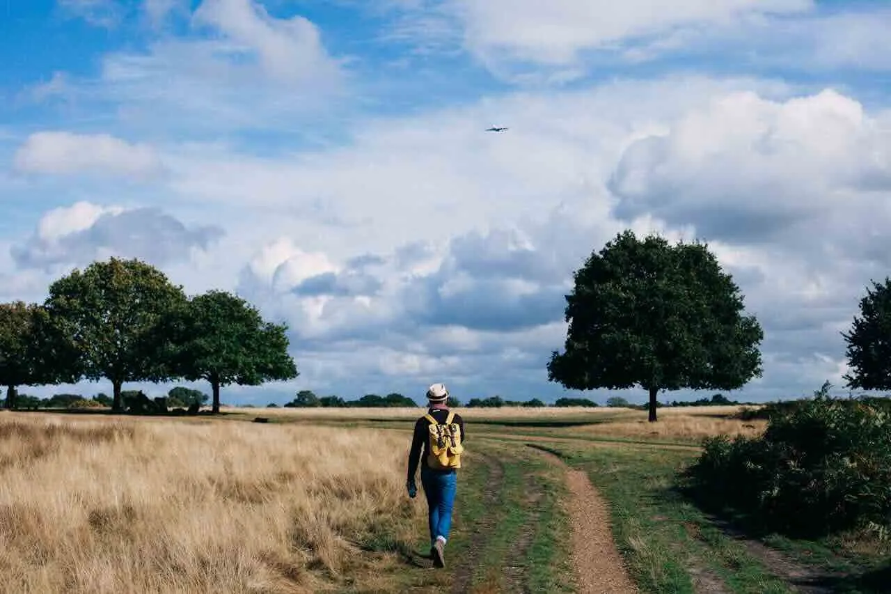 Walking Pad/gåbånd – Den perfekte gave til sundhed og velvære